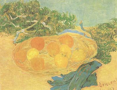 Vincent Van Gogh Still life:Oranges,Lomons and Blue Gloves (nn04)